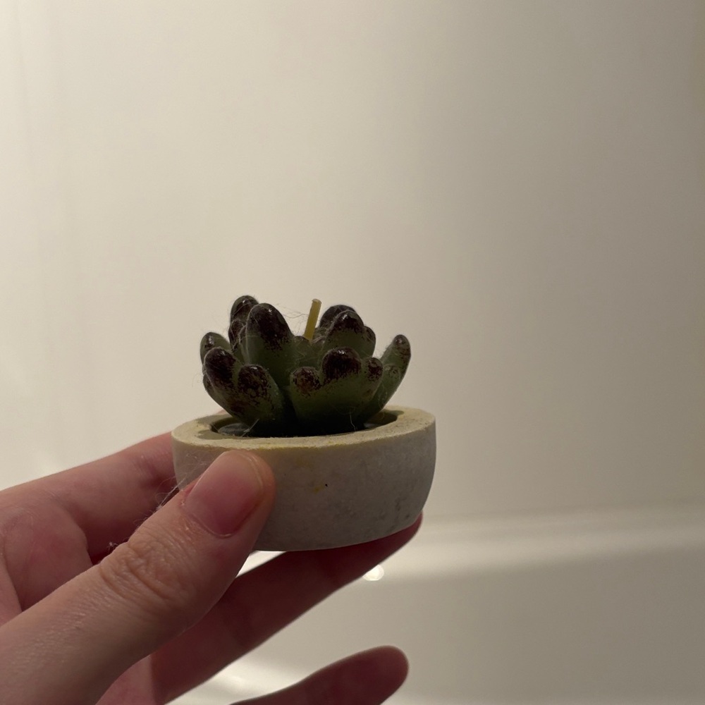 Mini Green Succulent Candle